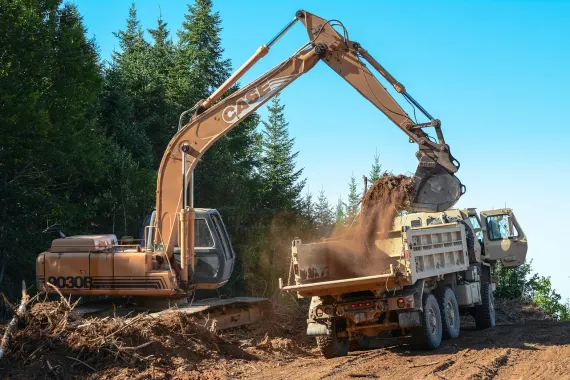 Kasino Bonkers Bet Podpora